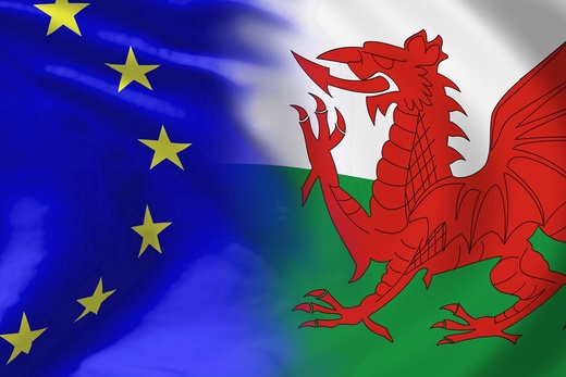 EU Welsh flag