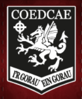 Coedcae school logo