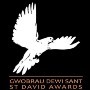 St David's Award