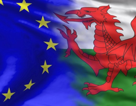 EU Welsh flags