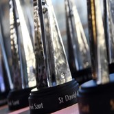 Close up photo taken at an angle showing a collection of the silver St David Awards 