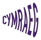 Education - Cymraeg 2050