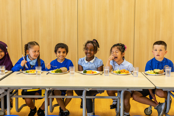 Header image - FSM Primary