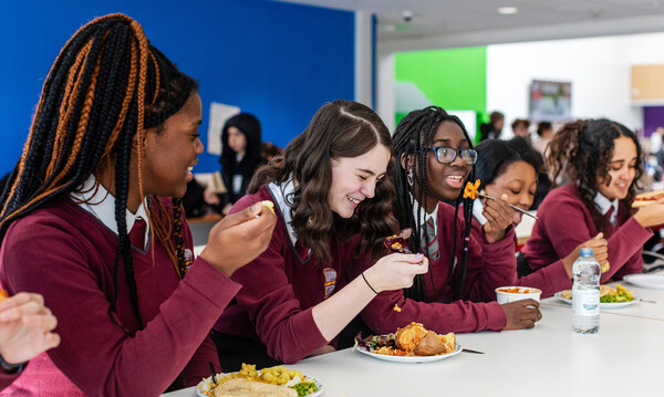 Header image - FSM HE