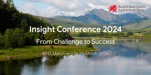 Insight Conference 2024