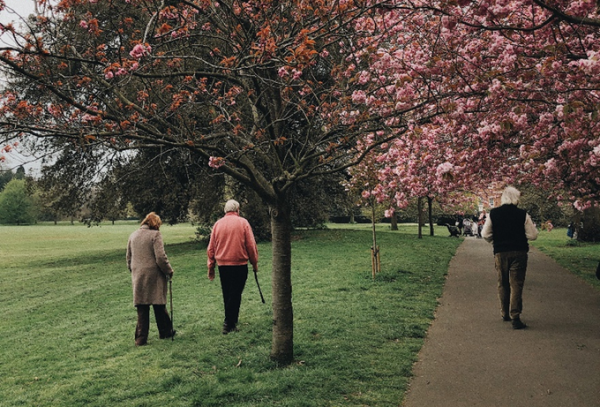 Old couple walking down a path