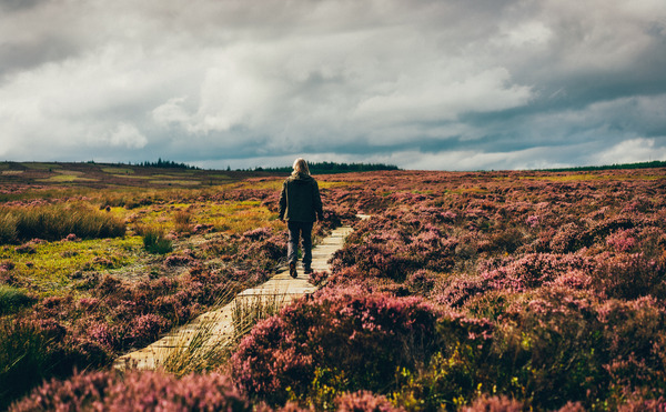 Autumn Walk