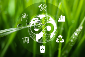 Circular economy concept