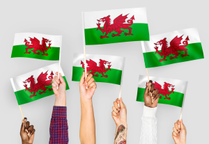 hands holding Welsh flags