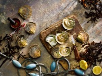 Pembrokeshire Oysters