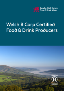 Cover of B Corp Brochure