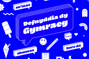Defnyddia dy Gymraeg 2025