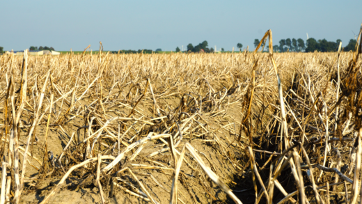 Food & Drink Climate and Supply Chain Risks Monitor