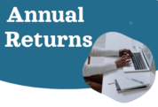 Annual Returns