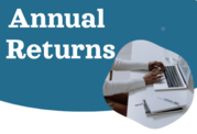 Annual Returns