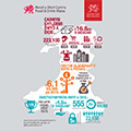 Infographics Cymraeg