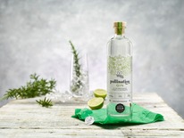 Dyfi Native Botanical Gin