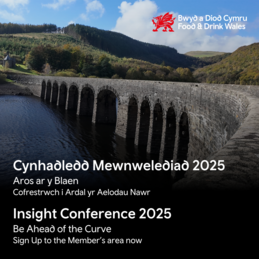 Cynhadledd Mewnwelediad 2025: Aros ar y Blaen