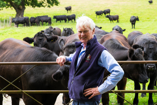 Yr Arglwydd Newborough, Ystâd Rhug