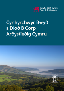 Llyfryn B Corp