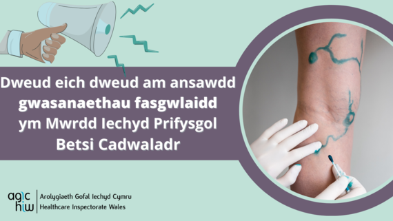 Local Review of Vascular Services - Have your say! | Adolygiad Lleol o ...