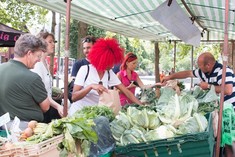 Walthamstow Farmers Market veg stall