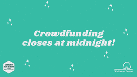 crowdfund final