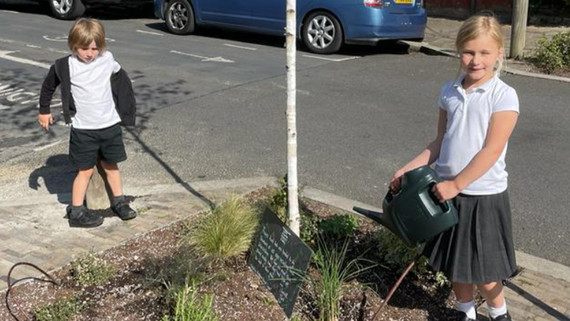 Water a Waltham Forest tree