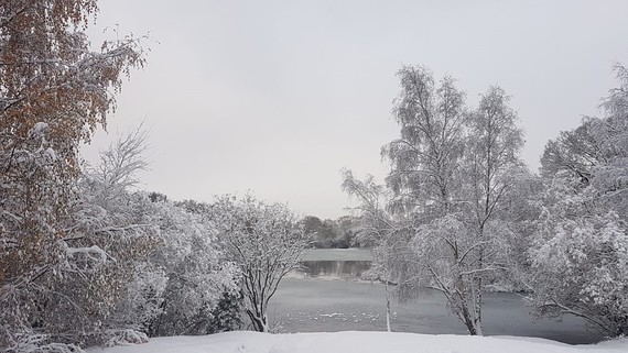 The snow covered trees and iced over water at Hollow Pond, December 2022