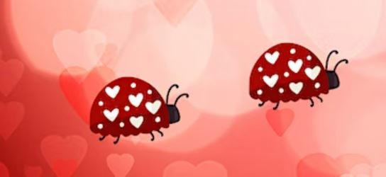 lovebugs animation