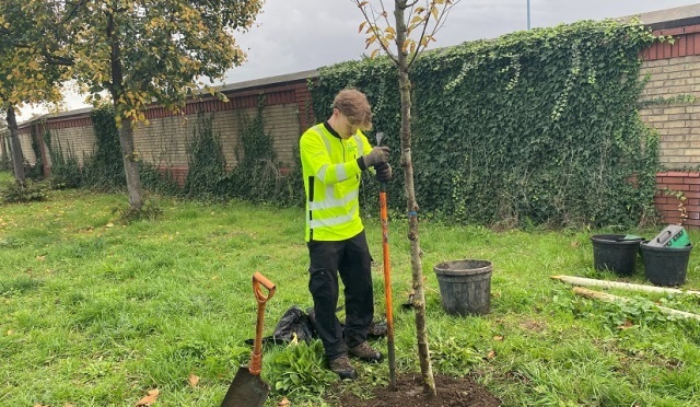 A man in a high vis jacket plants at tree at Linear Park
