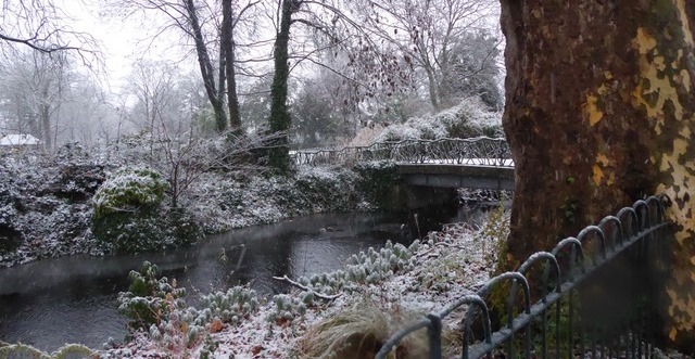 Trees and an iron fence in the snow in Lloyd Park
