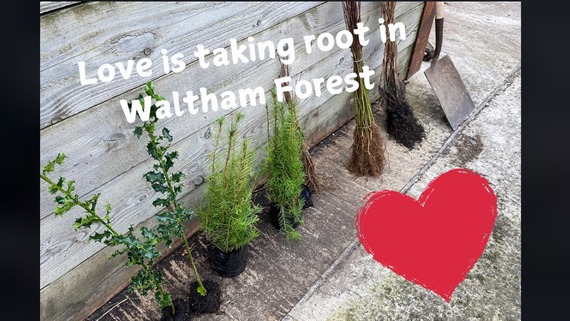 a photograph of some trees waiting to be planted with the text: Love is taking root in Waltham Forest