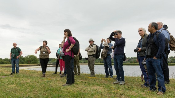 Walthamstow Wetlands