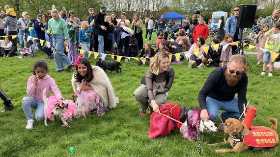 a photo of a dog show at Lloyd Park