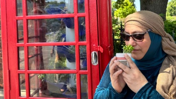 a photo of a woman inspecting a vertical garden in a red phone box