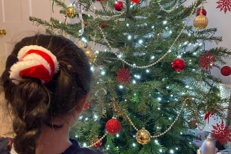 A child looks sadly at a Christmas tree now the festive season has ended