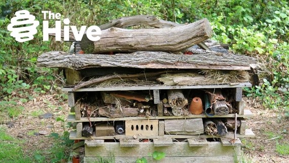 The Hive image banner