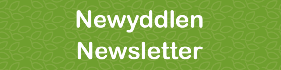 Cynlluniau-Ysgolion-Iach-Newyddlen-Healthy-School-Schemes-Newsletter-header.png