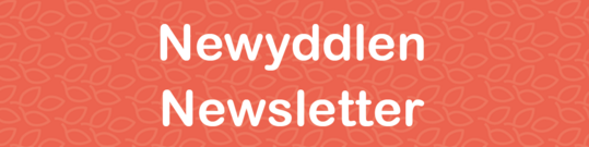 Newyddlen - Newsletter