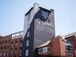 Ty Pawb