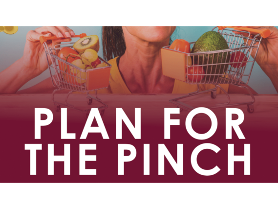 Plan for the Pinch