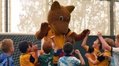Wolves foundation 