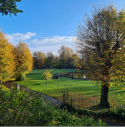 User generated photo