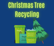 Tree recycling