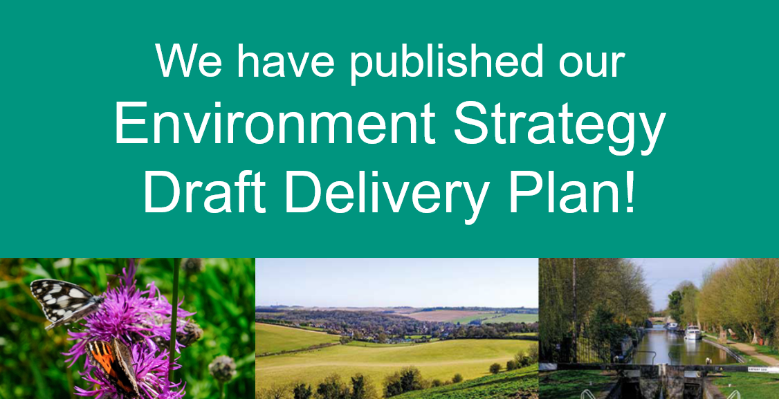 We have published our Environment Strategy Draft Delivery Plan!