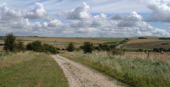 A path through the fields