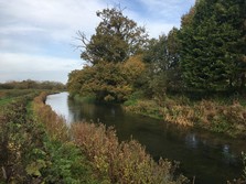River near Eddington Mill, Hungerford (Corinna Woodall)