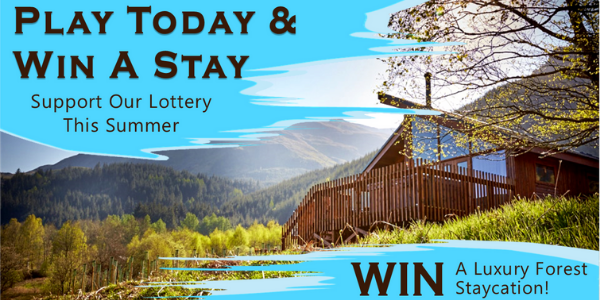 West Berkshire Lottery - forest stay promo