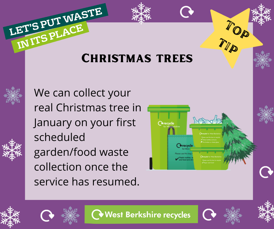 Christmas  Tree Collection 2022 Graphic